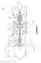 Fig. 02 - AIRCRAFT ENGINE HAVING SEAL ASSEMBLY DEFINING AN ELECTRICALLY CONDUCTIVE PATH