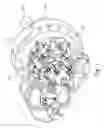 Fig. 08 - Fuel distribution device, gas turbine engine and mounting method