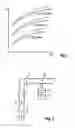 Fig. 02 - Method for compensating valve drift in an internal combustion engine