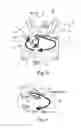 Fig. 05 - Control device for internal combustion engine