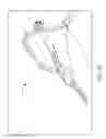 Fig. 12 - Quick release tensioning device