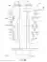 Fig. 03 - Variable rate bound stoppers and variable rate suspension systems containing variable rate bound stoppers