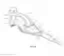 Fig. 04 - Method and apparatus for retaining shackles using thimble retaining element