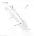 Fig. 12 - Chain tensioner arm or chain guide flat face features to allow face assembly from one end of the guide or arm