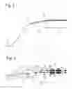 Fig. 02 - Field joint transfer system