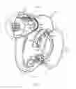 Fig. 07 - Turbine scroll assembly for gas turbine engine