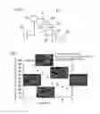 Fig. 04 - Heat implement and method for manufacturing same