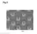 Fig. 06 - Surface-enhanced Raman scattering unit