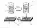 Fig. 01 - Decomposable S-tetrazine based polymers for single walled carbon nanotube applications