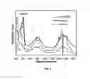 Fig. 03 - Decomposable S-tetrazine based polymers for single walled carbon nanotube applications