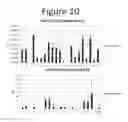 Fig. 11 - Activation of bioluminescence by structural complementation