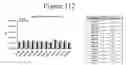 Fig. 113 - Activation of bioluminescence by structural complementation