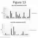 Fig. 14 - Activation of bioluminescence by structural complementation