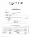 Fig. 151 - Activation of bioluminescence by structural complementation