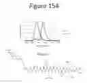 Fig. 155 - Activation of bioluminescence by structural complementation
