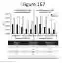 Fig. 168 - Activation of bioluminescence by structural complementation