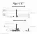 Fig. 18 - Activation of bioluminescence by structural complementation
