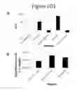 Fig. 205 - Activation of bioluminescence by structural complementation