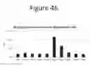 Fig. 47 - Activation of bioluminescence by structural complementation