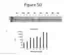 Fig. 51 - Activation of bioluminescence by structural complementation