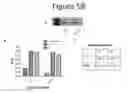 Fig. 59 - Activation of bioluminescence by structural complementation
