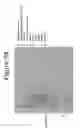 Fig. 95 - Activation of bioluminescence by structural complementation