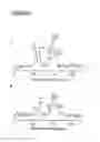 Fig. 09 - Nano-enzyme containers for test elements