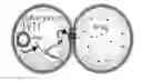Fig. 01 - Membrane and droplet-interface bilayer systems and methods