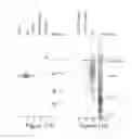 Fig. 16 - Strings of epitopes useful in diagnosing and eliciting immune responses to sexually transmitted infections