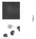 Fig. 08 - METHODS FOR DETECTION OF CIRCULATING TUMOR CELLS AND METHODS OF DIAGNOSIS OF CANCER IN A MAMMALIAN SUBJECT