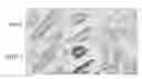 Fig. 01 - Materials and methods for performing histochemical assays for human pro-epiregulin and amphiregulin