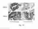 Fig. 08 - Materials and methods for performing histochemical assays for human pro-epiregulin and amphiregulin