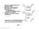 Fig. 08 - Mass spectrometry imaging of glycans from tissue sections and improved analyte detection methods