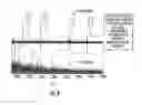 Fig. 09 - Mass spectrometry imaging of glycans from tissue sections and improved analyte detection methods