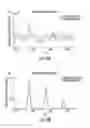 Fig. 16 - Mass spectrometry imaging of glycans from tissue sections and improved analyte detection methods