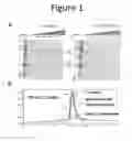 Fig. 02 - Influenza potency assays