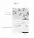 Fig. 06 - Method of evaluating cellulite and method of evaluating cellulite-effective drug using fibulin-3 and/or sarcoglycan gamma as an indicator