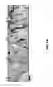 Fig. 02 - DETECTION OF MISFOLDED PROTEINS
