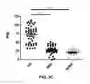 Fig. 08 - DETECTION OF MISFOLDED PROTEINS
