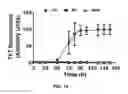 Fig. 22 - DETECTION OF MISFOLDED PROTEINS