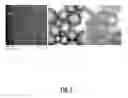 Fig. 04 - Methods and systems for super-resolution optical imaging using high-index of refraction microspheres and microcylinders