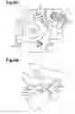 Fig. 07 - Cam having multiple contact states for an apparatus