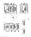 Fig. 02 - Systems and methods for selective retention and editing of images captured by mobile image capture device