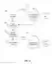 Fig. 08 - Application programming interfaces for content curation