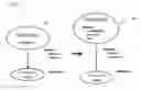 Fig. 01 - Null replacing attributes