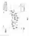 Fig. 02 - Efficient representation, access and modification of variable length objects