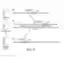 Fig. 06 - Clustered search head configurations synchronization with bloom filter