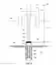 Fig. 05 - Software simulation method for estimating fluid positions and pressures in the wellbore for a dual gradient cementing system