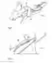 Fig. 02 - Method and device for generating a sectional view of a body of a vehicle