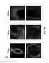 Fig. 52 - VIRTUAL CELL SIMULATOR